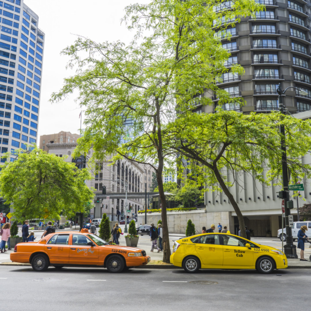 Photo safari in Seattle